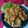 Cooksnap dari Nur Sabatiana untuk resep Bakwan Oncom