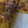 El cooksnap de Miguel Gallardo cuando hizo Tortilla a la española con chorizo.