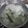 Cooksnap dari dhekan resti untuk resep Lidah buaya square