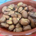El cooksnap de Marieta cuando hizo Michirones murcianos en olla rápida.