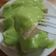 รูป Cooksnap ของ Nuyui Vachiraporn เมื่อเขาทำ สังขยาใบเตย