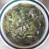 兩寶媽媽 的 莧菜小魚羹 cooksnap