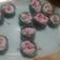 El cooksnap de Coqui😊🐬🌸 cuando hizo Cupcakes de chocolate LIGHT.