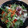 El cooksnap de Laura López Cuesta cuando hizo Ensalada de lentejas.