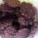 Cooksnap dari Desty Ristiani untuk resep Oat Choco Cookies (simple, no mixer, no oven)