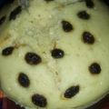 Cooksnap dari Prasetyono Arif untuk resep Bolu Tape Kukus (no mixer)