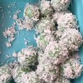 Cooksnap dari Dewi Sartika untuk resep Klepon Ketan Gula Merah