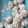 Cooksnap dari Dewi Sartika untuk resep Klepon Ketan Gula Merah