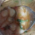 El cooksnap de Annie Berk cuando hizo Porotos al escabeche.