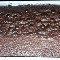 Cooksnap dari Atika Sari untuk resep Chewy Brownies Panggang