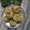 Anshi Seth का कुकस्नैप जब उन्होंने चटपटी पानी पूरी (chatpati pani poori recipe in Hindi) बनाया था।