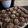 Cooksnap dari Resi Kerdiati untuk resep Chocolate Chocochips Cookies