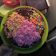 Cooksnap dari JuNie WullandaRi untuk resep Simple Birthday Cake