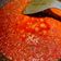 Cooksnap dari Yulia untuk resep 38. Sambal Tomat Terasi Matang