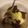 Estee Esterhuizen's cooksnap of when they made Cheap Malva Pudding.