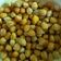 Cooksnap KAM semasa beliau membuat Kacang Kuda Rebus.