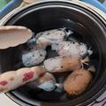 Cooksnap dari NUNU untuk resep Chicken sous vide (chicken suvid)