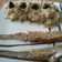 El cooksnap de Eva cuando hizo Aperitivo de aguacates rellenos al aroma de albahaca - veggie.