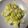 Tami Winbush's cooksnap of when they made Yellow Squash and Cabbage.