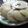  Chef Richa pathak. का कुकस्नैप जब उन्होंने सूजी की इडली (suji ki idli recipe in Hindi) बनाया था।