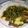 El cooksnap de Haydee Agreda cuando hizo Saltado de vainitas con sabor oriental #3.
