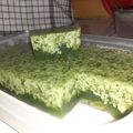 Cooksnap dari Loulou Nafahat untuk resep Agar-Agar Lumut resep mbak Hestri Manda