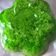 Cooksnap dari Lutfi untuk resep Puding lumut ijo