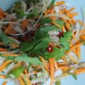 Cooksnap của fianty khi họ làm theo món Gà xé phay (nộm gà)