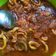 Cooksnap dari Pipit Fitriyah untuk resep Cumi saos padang