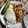 รูป Cooksnap ของ ชฎาพร เรืองคํา เมื่อเขาทำ มะเขือเทศผัดไข่ทูน่า โลว์คาร์บ