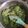 El cooksnap de jadsheccid cuando hizo Puré de espinacas.