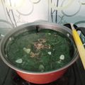 Cooksnap dari dev antik untuk resep Sayur bayam / jangan loncom (solo)