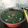 Cooksnap dari dev antik untuk resep Sayur bayam / jangan loncom (solo)