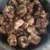Cooksnap dari Yudiana Jayaprana untuk resep Tahu Goreng Telur Asin