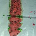 Cooksnap dari Nashfie Mufidha untuk resep Bolu semangka