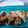 El cooksnap de Erica Walter cuando hizo Empanadas de jamón y queso rápidas.