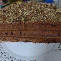 El cooksnap de Guillermina cuando hizo Torta o bizcochuelo en sartén de chocolate.