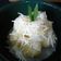 Cooksnap dari Yanna Hudayanti untuk resep Singkong thai