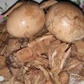 Cooksnap dari Anis Siti Anisah untuk resep Gudeg yogya