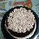 Cooksnap dari sasanti untuk resep 25.Buttercream untuk decor kue tart