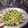 Areeba Muhammed's cooksnap of when they made Chatpaty holay 😋😋😋.