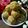 Arya Paradkar's cooksnap of when they made તલ ના લાડુ (Til Ladoo Recipe In Gujarati).