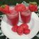 Varsha Dave's cooksnap of when they made તડબૂચ નો જ્યૂસ (Watermelon Juice Recipe In Gujarati).