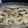 El cooksnap de Irenice cuando hizo Filetes de pollo con setas, miel y mostaza .