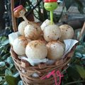 Cooksnap dari Ge Adhian untuk resep Cimol (Aci di Gemol)
