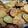 El cooksnap de Teresa cuando hizo Verduras al horno.