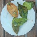 El cooksnap de Wallass cuando hizo Paparajotes.