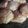 El cooksnap de Mari Barrios cuando hizo Galletitas de miel.