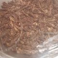 Preeti Gupta's cooksnap of when they made Chilli Carrot Radish Pickle.