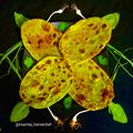 Mamta Pandya's cooksnap of when they made હરિયાલી નાન (Hariyali Naan Recipe In Gujarati).
